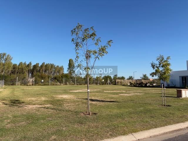 Terreno en Venta en Tigre, G.B.A. Zona Norte