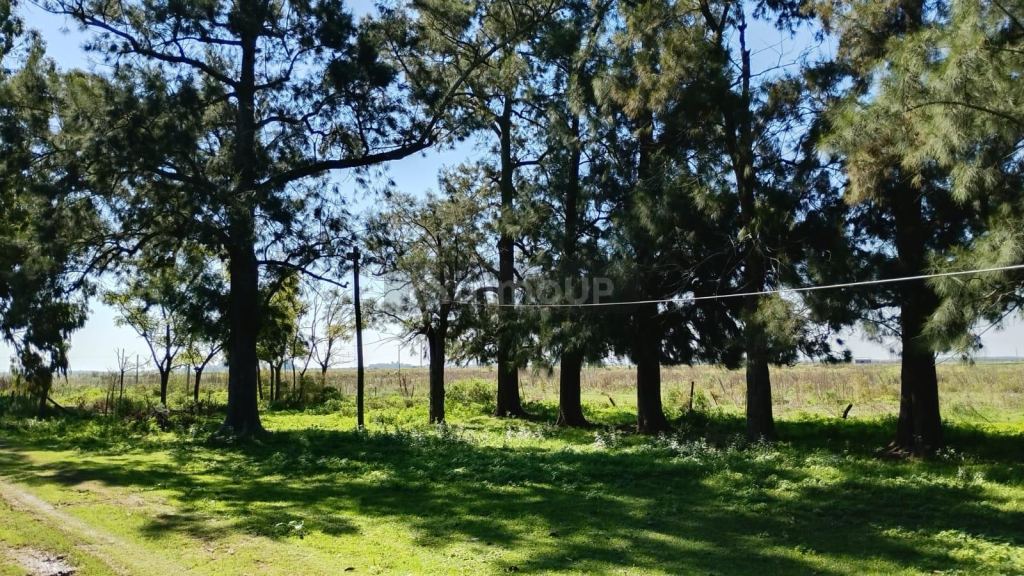 Finca en Venta en San Vicente, G.B.A. Zona Sur