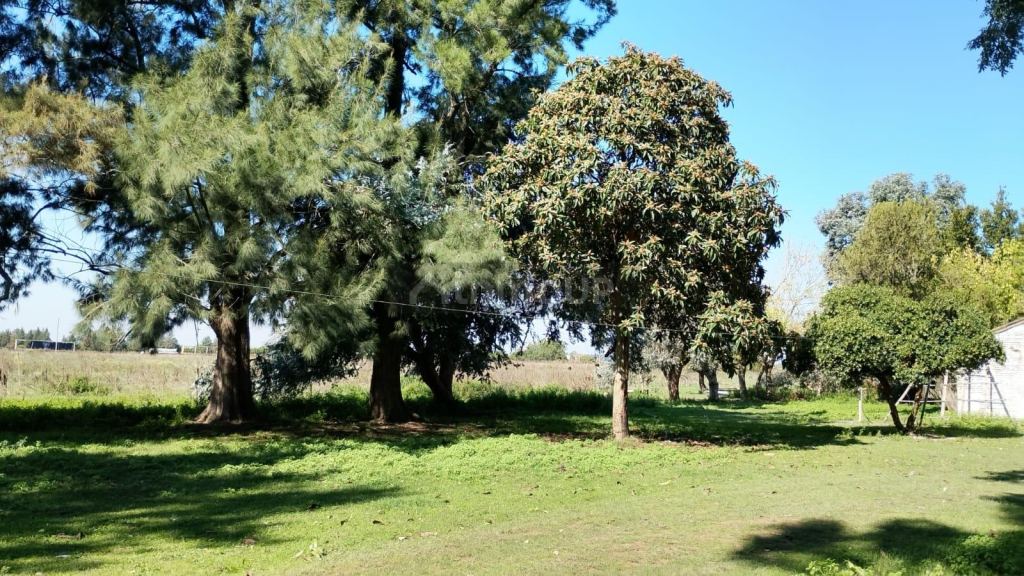 Finca en Venta en San Vicente, G.B.A. Zona Sur