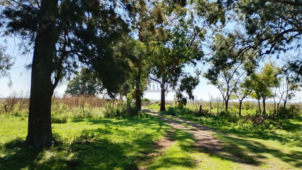 Finca en Venta en San Vicente, G.B.A. Zona Sur