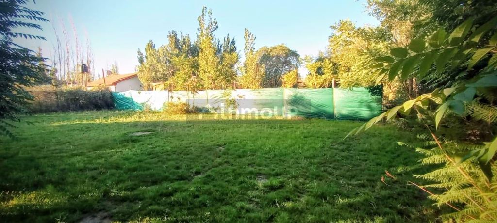 Lujan de Cuyo Las turberas y Dique Philip 7