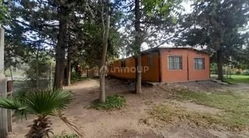 Lujan de Cuyo Las turberas y Dique Philip 7