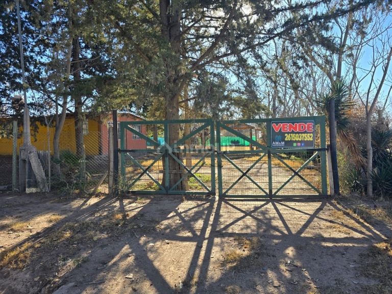 Lujan de Cuyo Las turberas y Dique Philip 7
