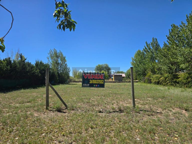 Lote en Venta en Lujan de Cuyo, Mendoza