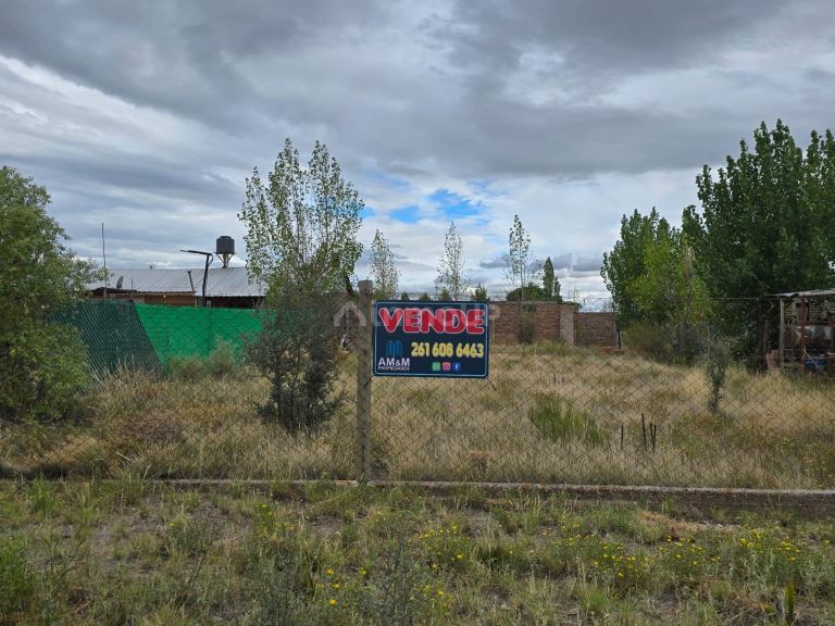 Lote en Venta en Lujan de Cuyo, Mendoza