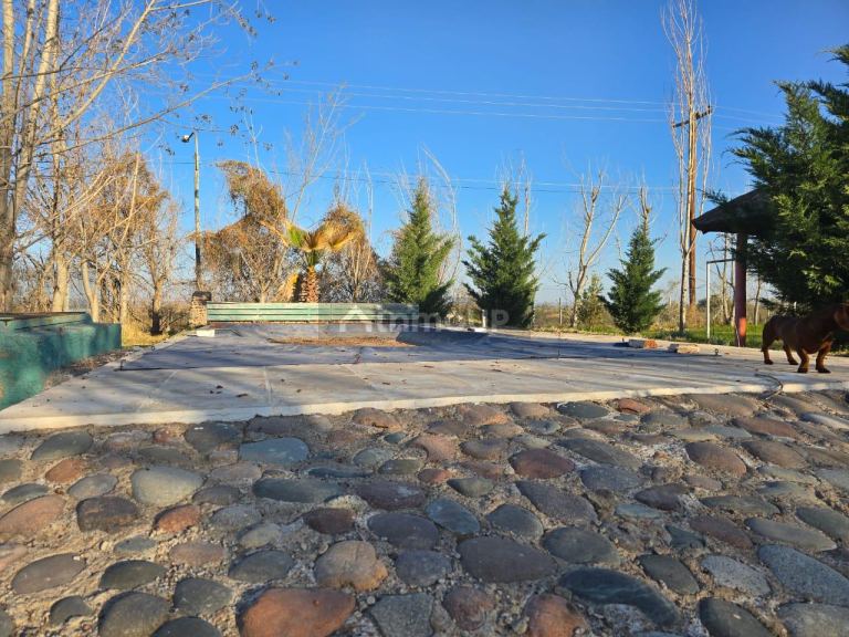 Casa Quinta en Venta en Lujan de Cuyo, Mendoza