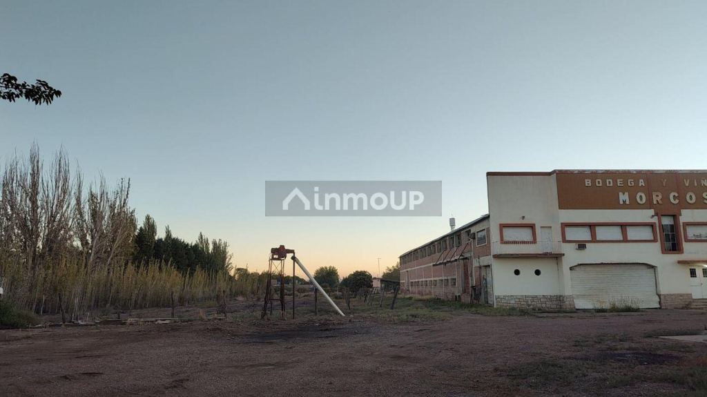 Bodega con Viñedo en Venta en San Martin, Mendoza