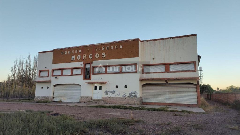 Bodega con Viñedo en Venta en San Martin, Mendoza