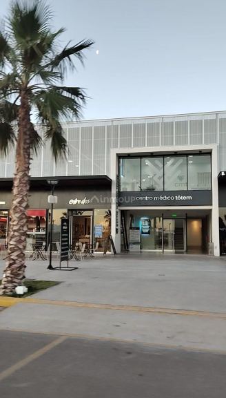 Bodega con Viñedo en Venta en San Martin, Mendoza