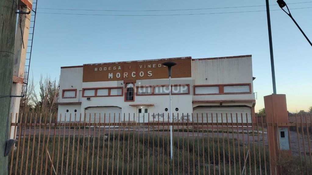 Bodega con Viñedo en Venta en San Martin, Mendoza