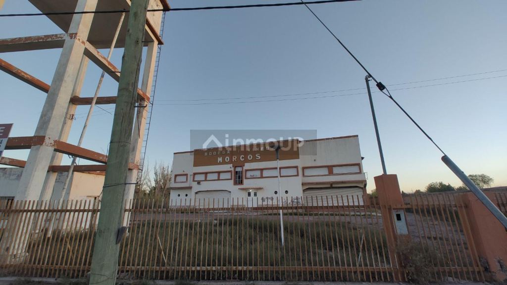 Bodega con Viñedo en Venta en San Martin, Mendoza