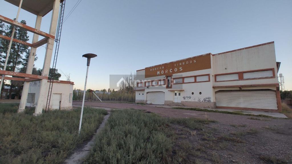 Bodega con Viñedo en Venta en San Martin, Mendoza