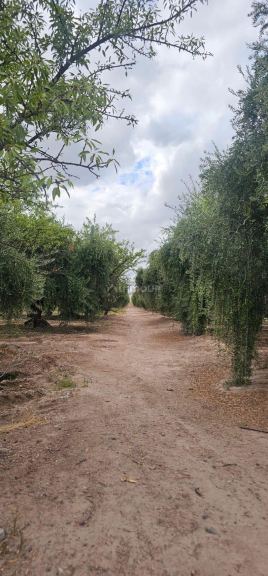 Lote en Venta en Maipu, Mendoza