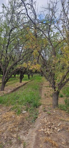 Lote en Venta en Maipu, Mendoza