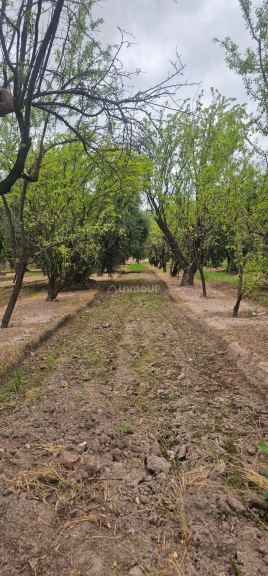 Lote en Venta en Maipu, Mendoza
