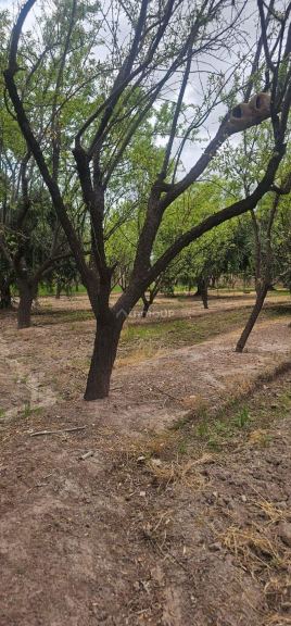 Lote en Venta en Maipu, Mendoza