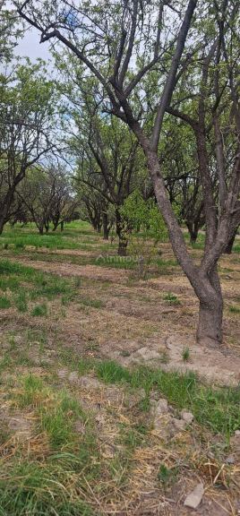 Lote en Venta en Maipu, Mendoza