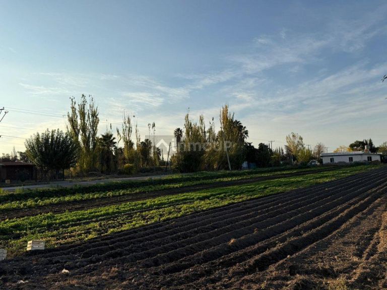 Finca en Venta en Guaymallen, Mendoza