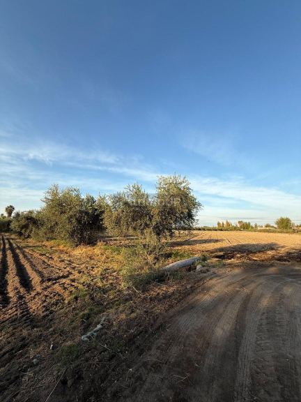 Finca en Venta en Guaymallen, Mendoza