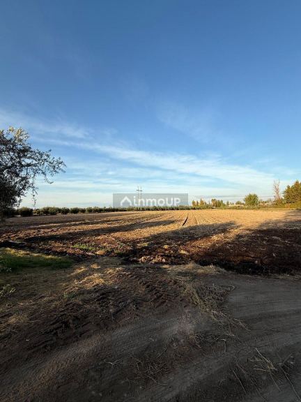 Finca en Venta en Guaymallen, Mendoza