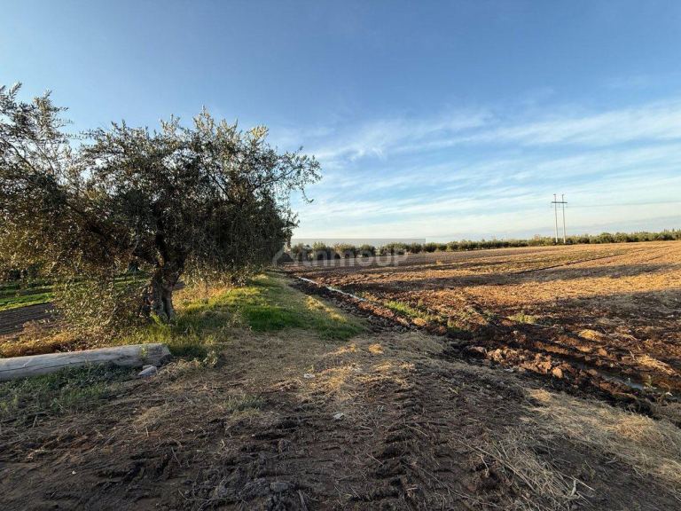 Finca en Venta en Guaymallen, Mendoza