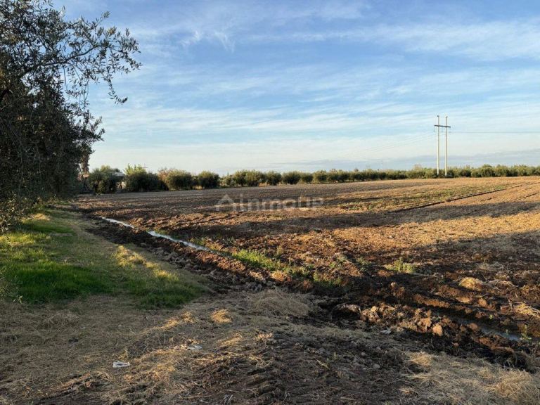 Finca en Venta en Guaymallen, Mendoza
