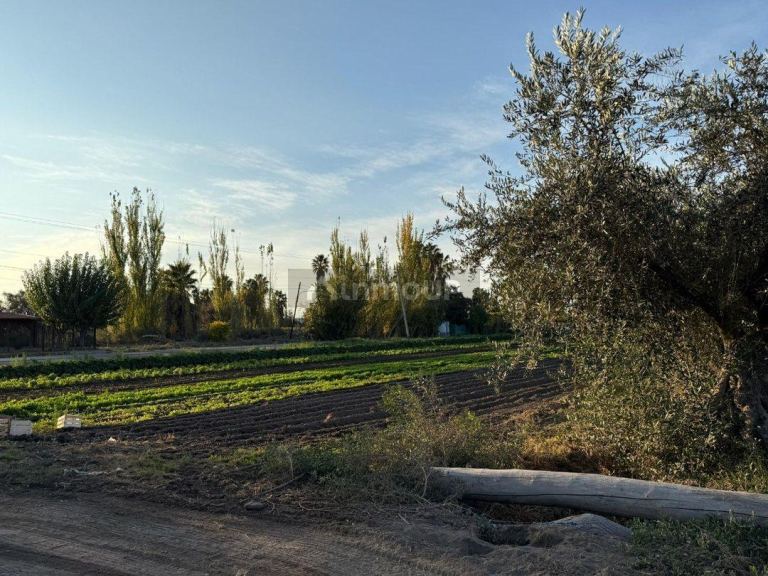 Finca en Venta en Guaymallen, Mendoza