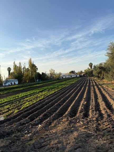Finca en Venta en Guaymallen, Mendoza