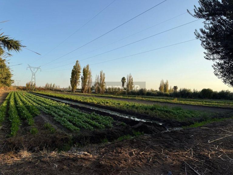 Finca en Venta en Guaymallen, Mendoza