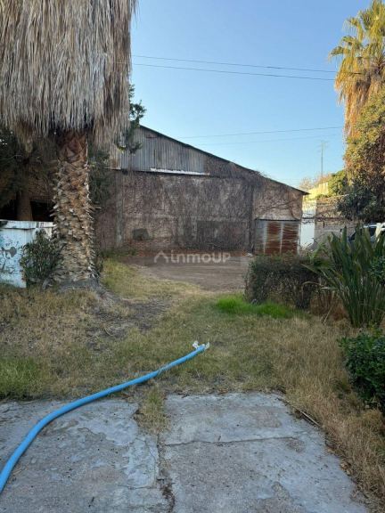 Lote en Venta en San Martin, Mendoza