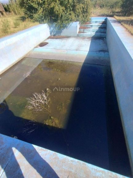 Finca en Venta en Lujan de Cuyo, Mendoza