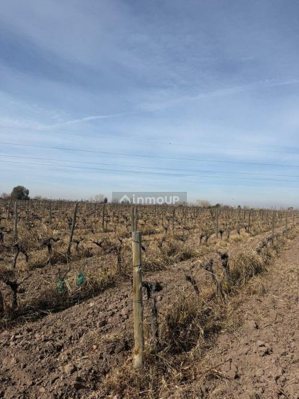 Finca en Venta en Las Heras, Mendoza