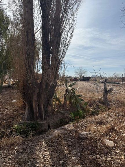 Finca en Venta en Las Heras, Mendoza