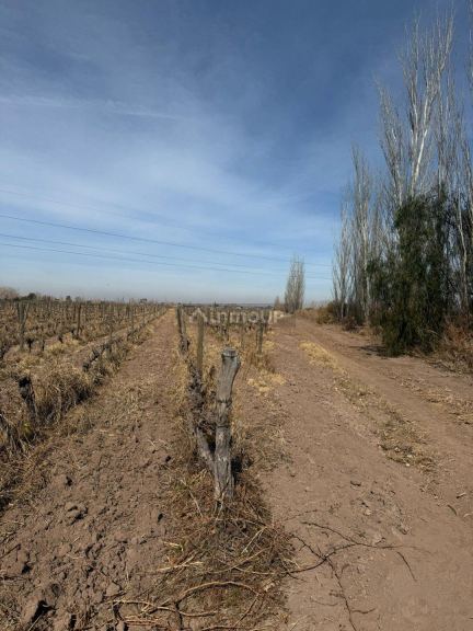 Finca en Venta en Las Heras, Mendoza