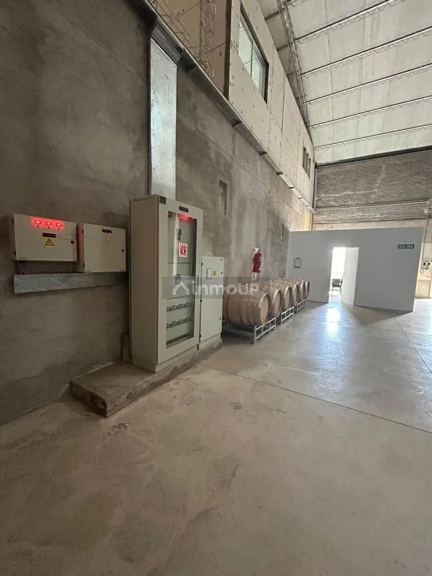 Bodega en Venta en Maipu, Mendoza