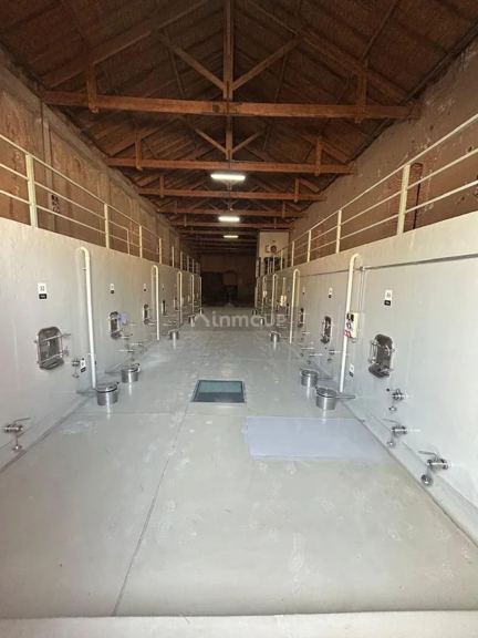 Bodega en Venta en Maipu, Mendoza