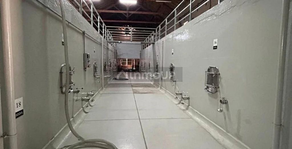 Bodega en Venta en Maipu, Mendoza