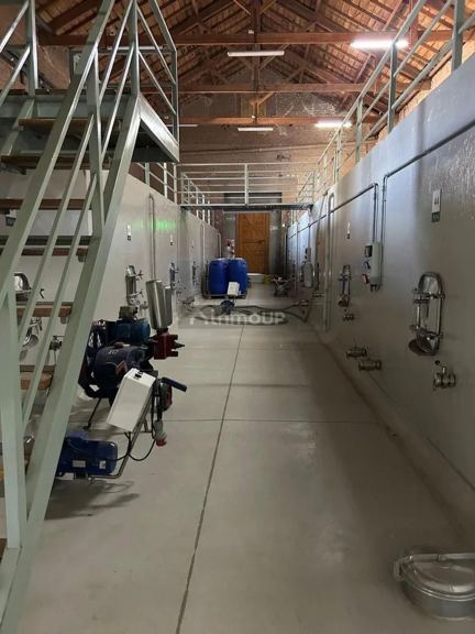 Bodega en Venta en Maipu, Mendoza