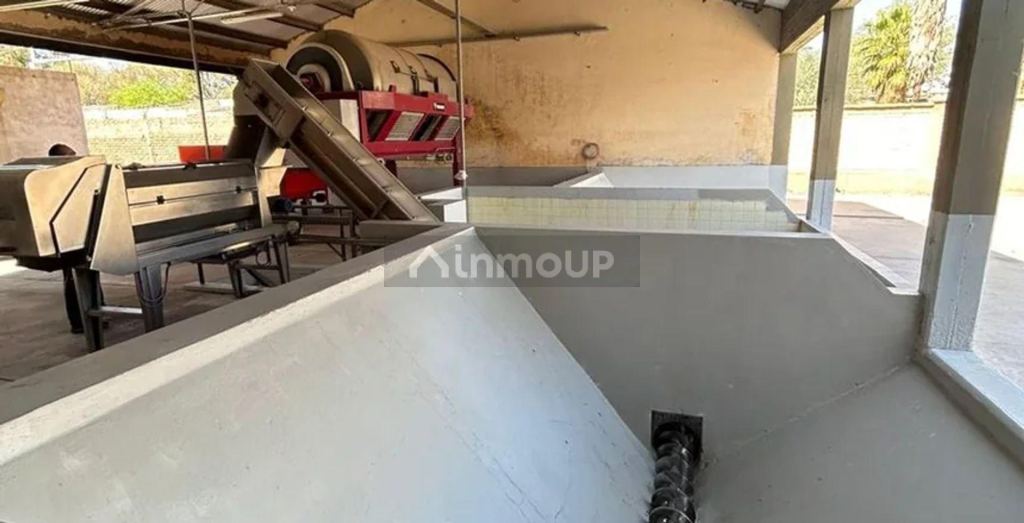 Bodega en Venta en Maipu, Mendoza