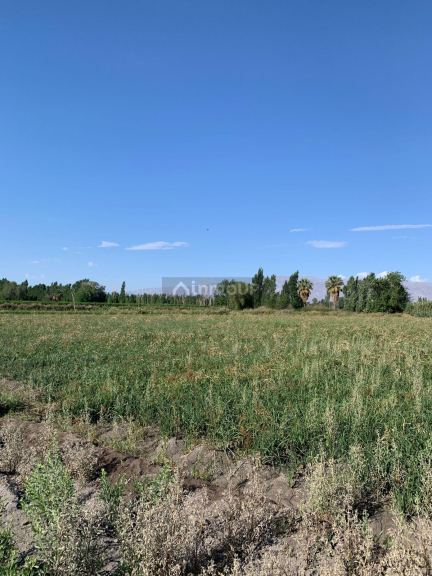 Finca en Venta en Rawson, San Juan