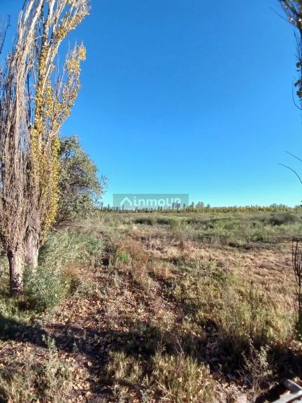 Finca en Venta en General alvear, Mendoza