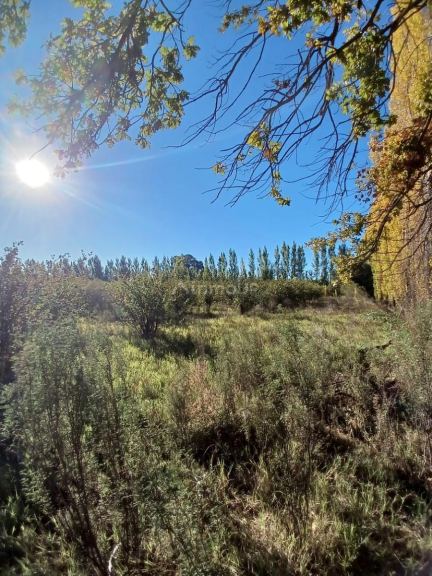 Finca en Venta en General alvear, Mendoza