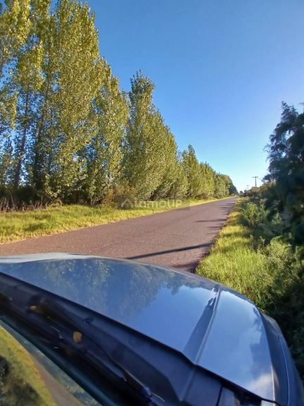 Finca en Venta en General alvear, Mendoza