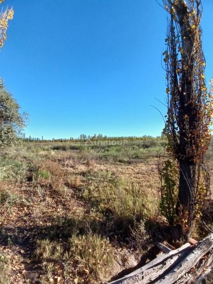 Finca en Venta en General alvear, Mendoza