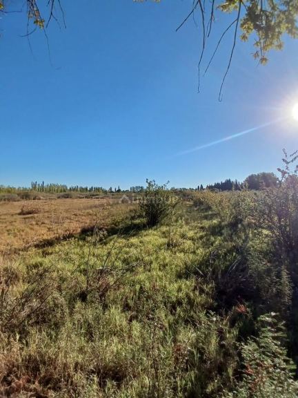 Finca en Venta en General alvear, Mendoza