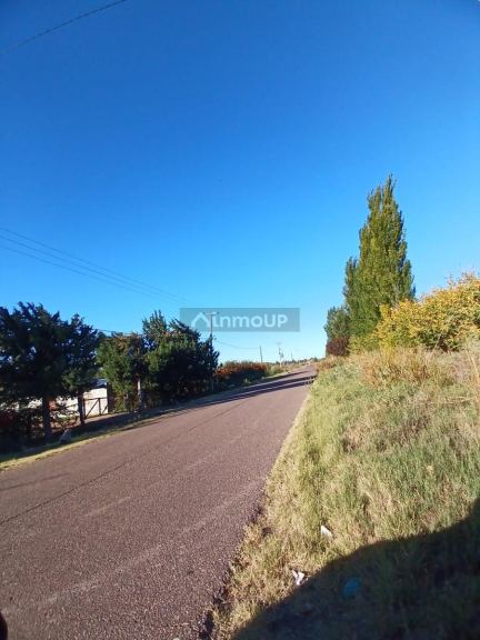 Finca en Venta en General alvear, Mendoza