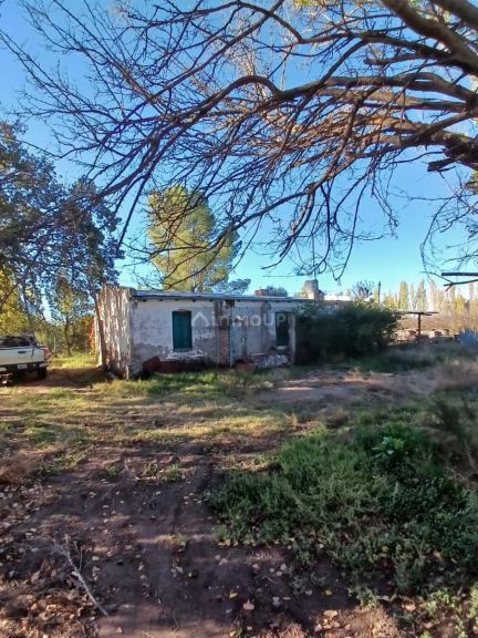 Finca en Venta en General alvear, Mendoza