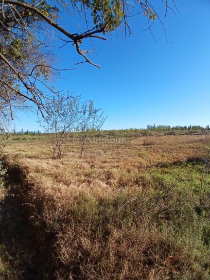 Finca en Venta en General alvear, Mendoza