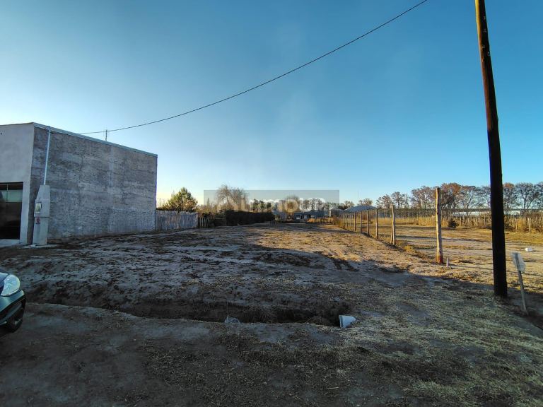Terreno en Venta en General alvear, Mendoza