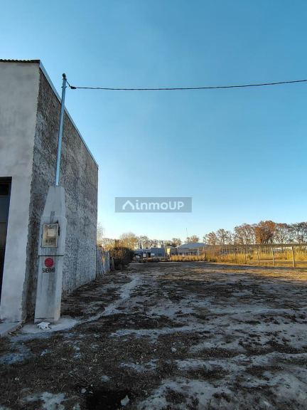 Terreno en Venta en General alvear, Mendoza